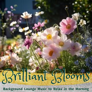 Background Lounge Music to Relax in the Morning