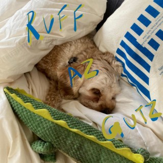 Ruff Az Gutz vol. 1