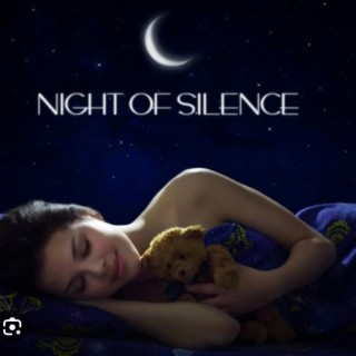 Night of Silence