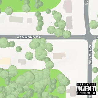 HAMMOND DR.