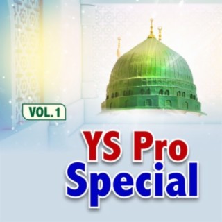 Ys Pro Special, Vol. 1