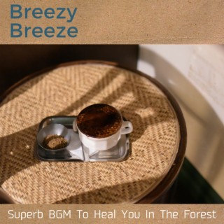 Superb BGM To Heal You In The Forest