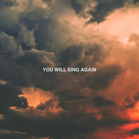 You Will Sing Again | Boomplay Music