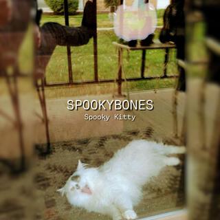 Spooky Kitty