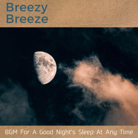 Sleep to Life | Boomplay Music