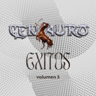 Exitos Vol. 3