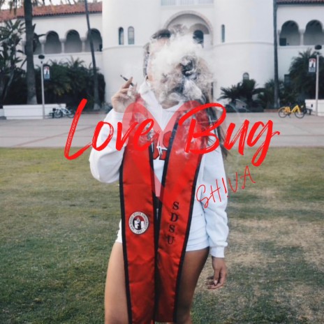LoveBug | Boomplay Music