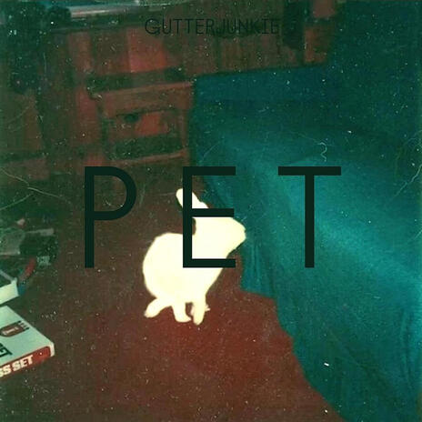 PET | Boomplay Music