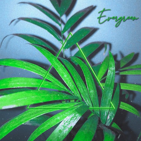 Evergreen | Boomplay Music