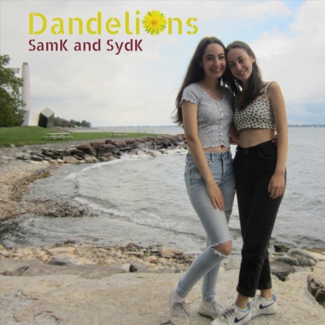 Dandelions | Boomplay Music