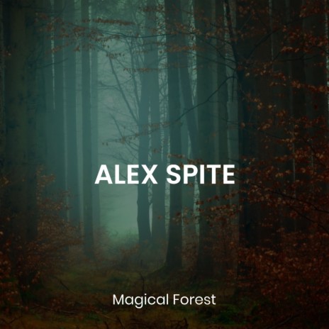 Magical Forest | Boomplay Music