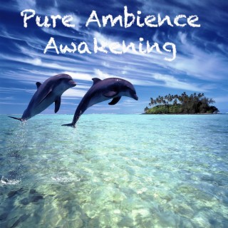 Pure Ambience - Awakening