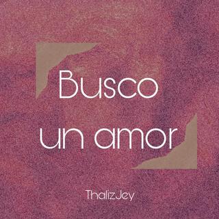 Busco un amor