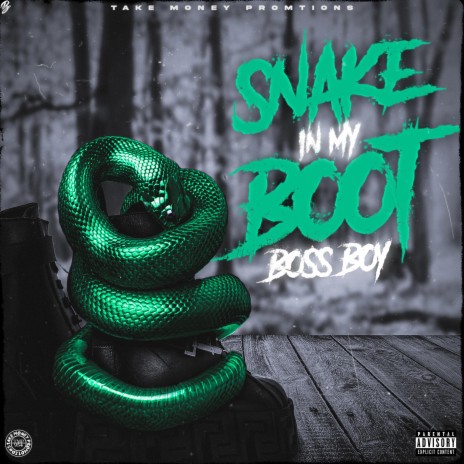 Snake In My Boot | Boomplay Music