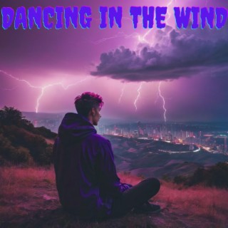 Dancing in the wind lyrics | Boomplay Music