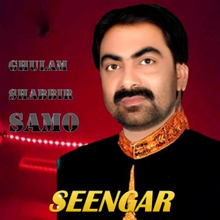 Seengar