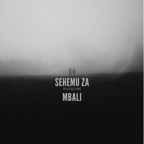 Sehemu Za Mbali ft. Dellyfeelz | Boomplay Music