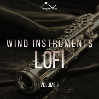 Wind Instruments Lofi, Vol. 2