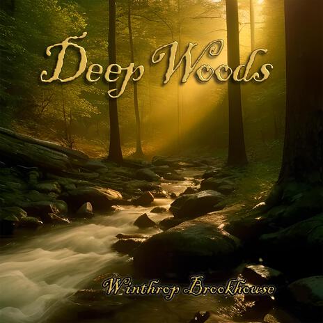 Deep Woods | Boomplay Music