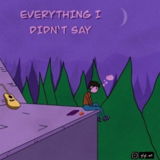 EVERYTHING I DIDN'T SAY