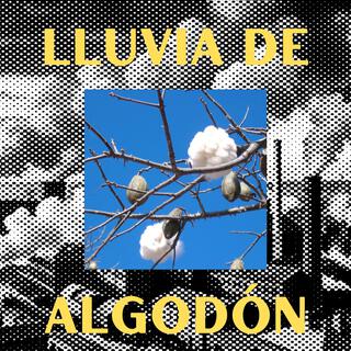 Lluvia de Algodón