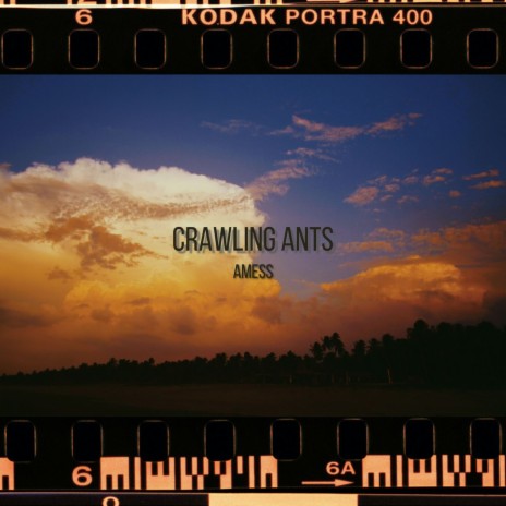 Crawling Ants | Boomplay Music