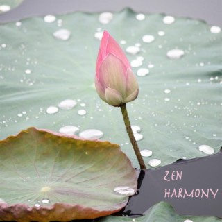 2 Hours of Relaxing Music: Piano and Rain for Serenity, Relaxation, Meditation, Yoga