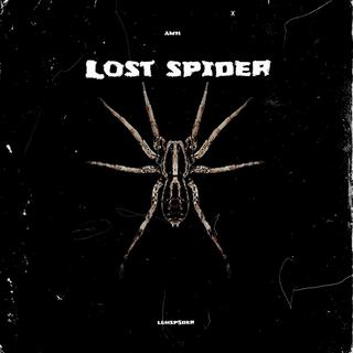 Lost Spider