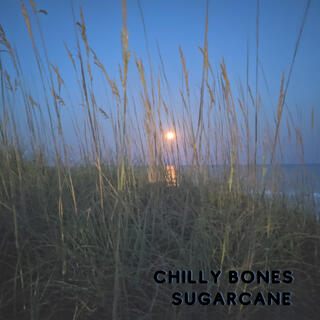 Sugarcane lyrics | Boomplay Music