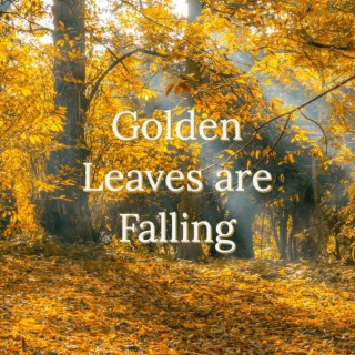 Golden Leaves are Falling