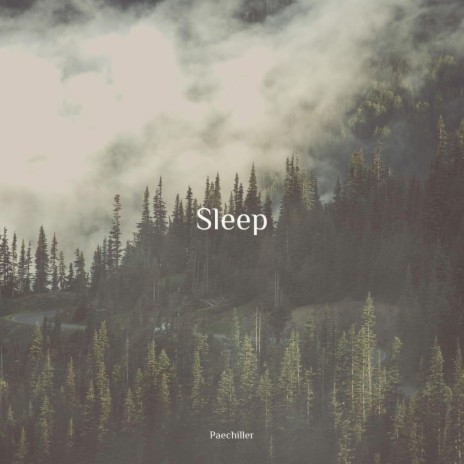 Sleep | Boomplay Music