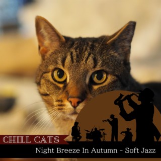 Night Breeze In Autumn - Soft Jazz