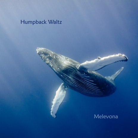 Humpback Waltz