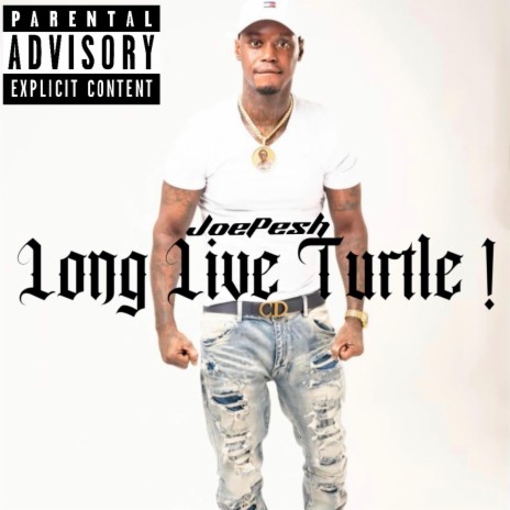 Long Live Turtle! | Boomplay Music