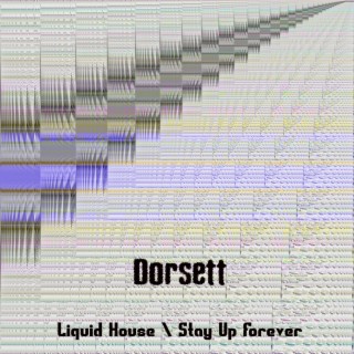 Liquid House / Stay Up Forever (EP)