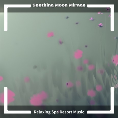 Aromatic Lullabies | Boomplay Music