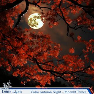 Calm Autumn Night – Moonlit Tunes