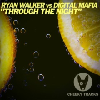 Ryan Walker (DJ)