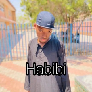 Habibi