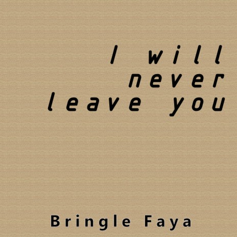 I Will Never Leave You | Boomplay Music