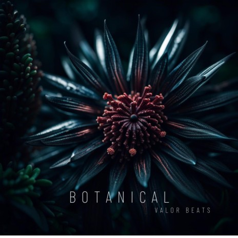 Botanical