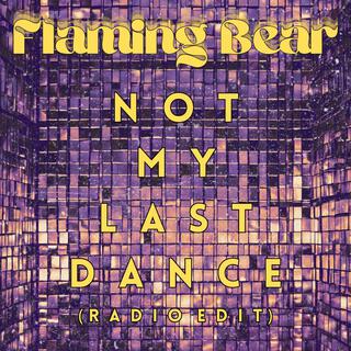 Not My Last Dance (Radio Edit)