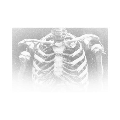 skeleton (demo) | Boomplay Music