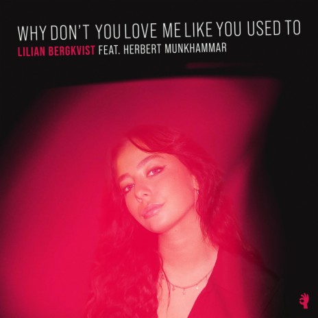 Why Don't You Love Me Like You Used To ft. Herbert Munkhammar | Boomplay Music