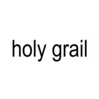 holy grail lyrics | Boomplay Music