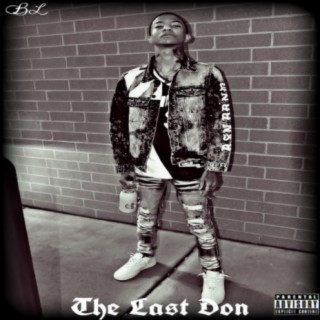 The Last Don