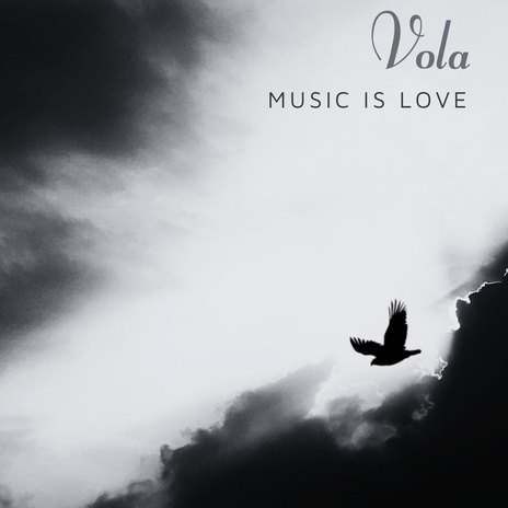 Vola | Boomplay Music