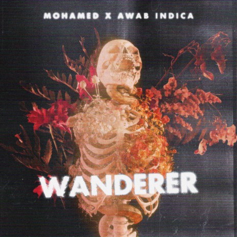 Wanderer ft. Awab Indica | Boomplay Music
