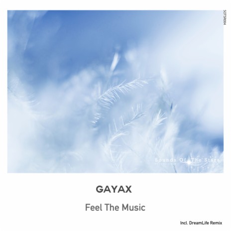 Feel The Music (Original Mix)