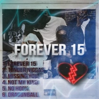Forever 15 lyrics | Boomplay Music